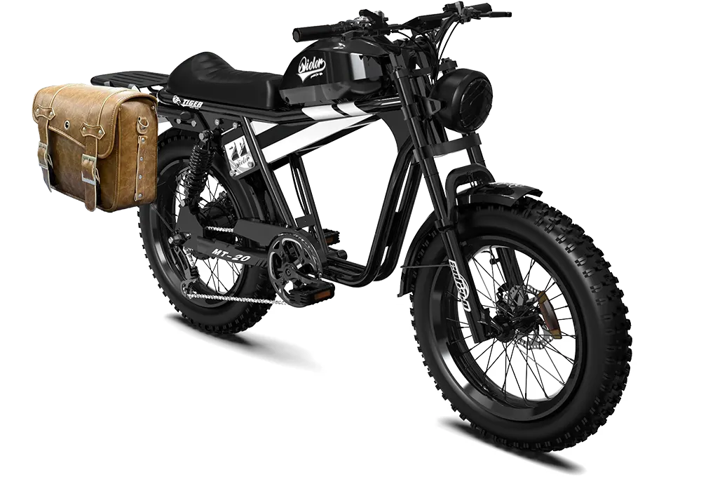 TIGER RE Retro Electric Bike