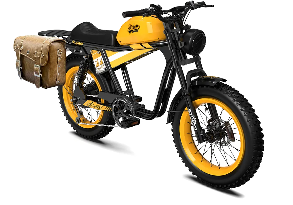 TIGER RE Retro Electric Bike