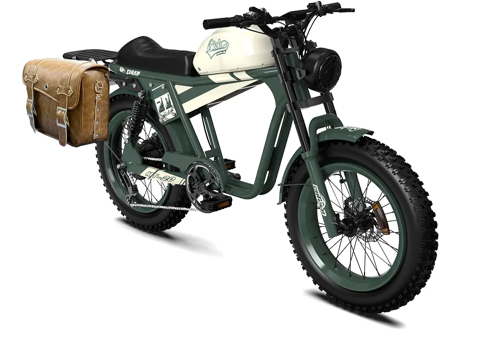 TIGER RE Retro Electric Bike
