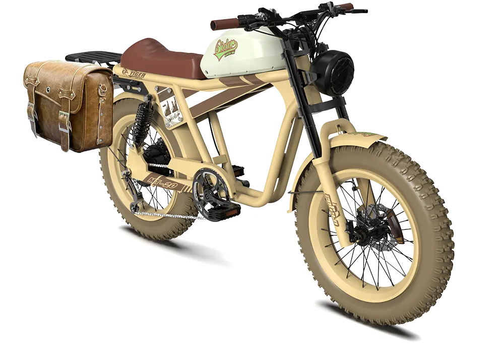 TIGER RE Retro Electric Bike