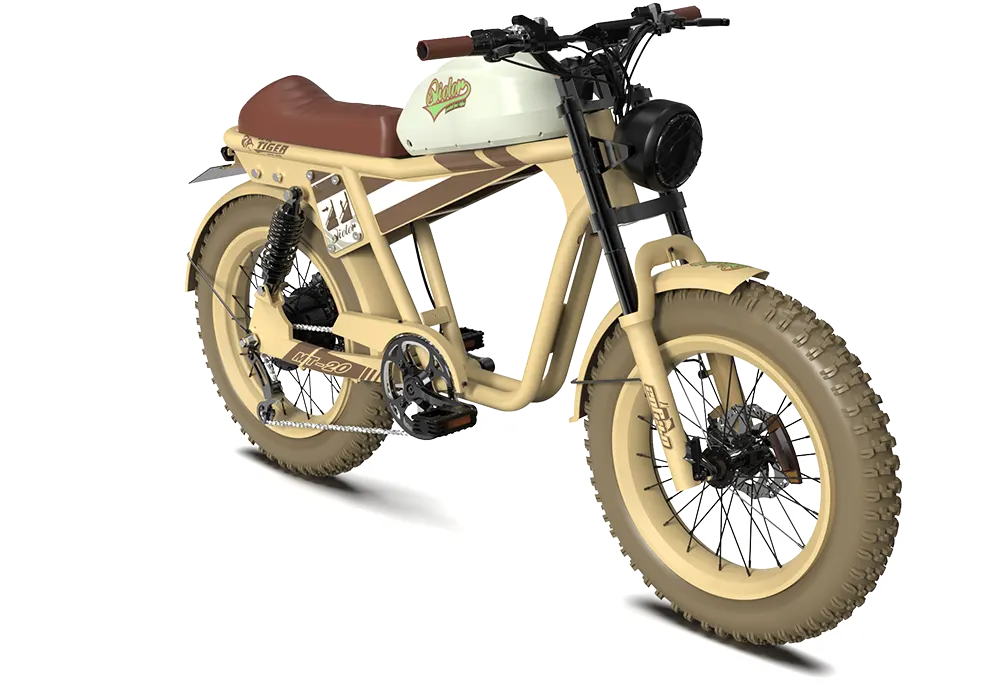 TIGER RE Retro Electric Bike