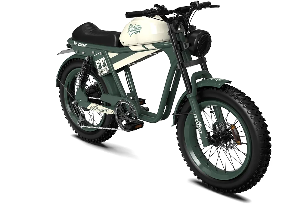 TIGER RE Retro Electric Bike