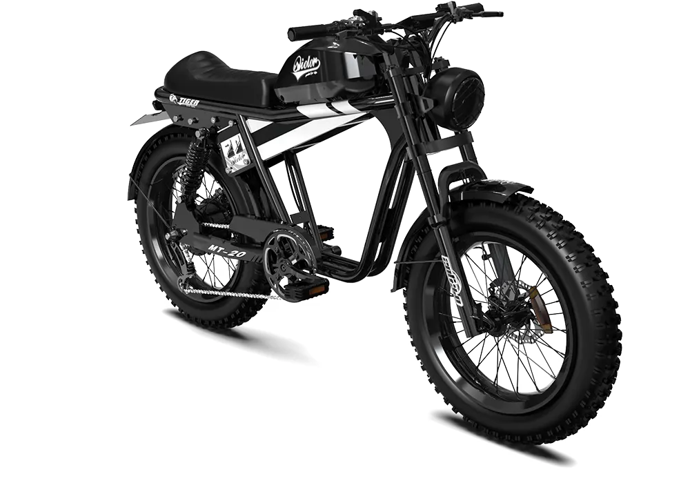 TIGER RE Retro Electric Bike
