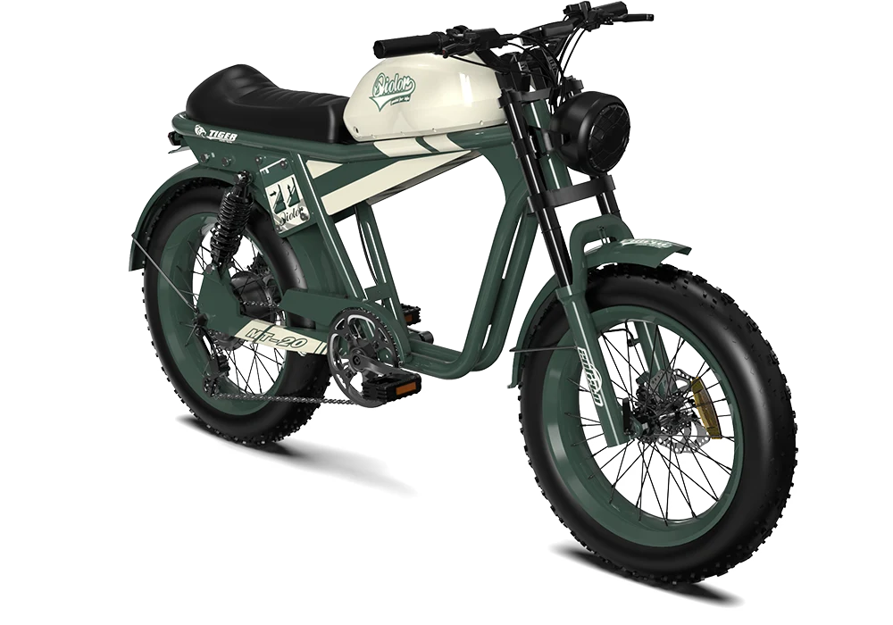 TIGER RE Retro Electric Bike