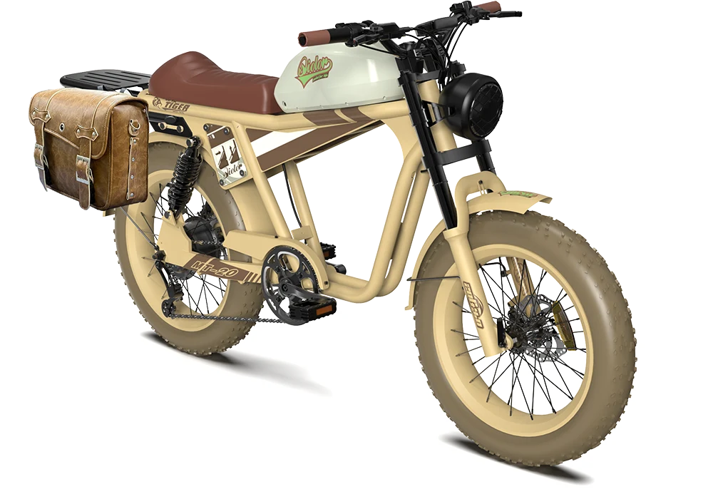 TIGER RE Retro Electric Bike