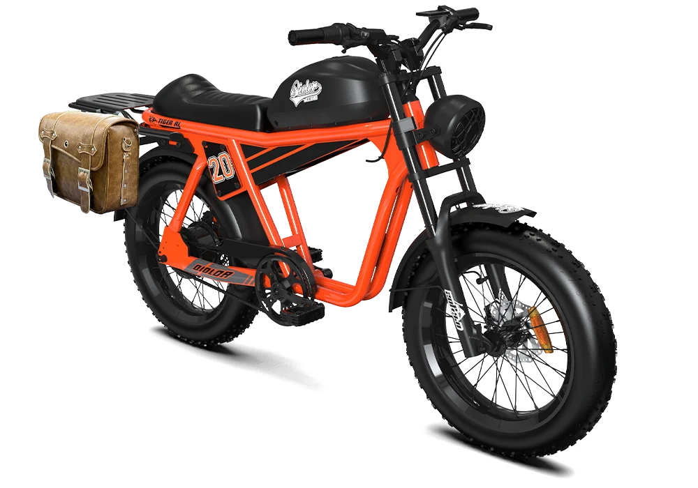 TIGER RL Electric Cruiser Bike