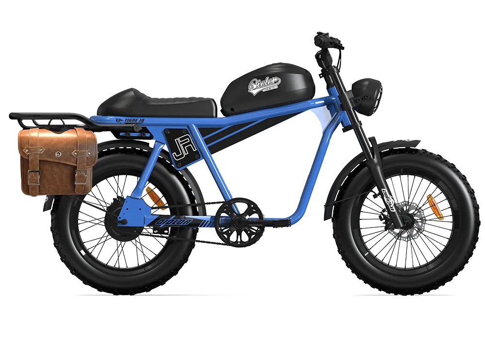I Am Not Disappointed With This 500W Electric Bike For Around $1000!