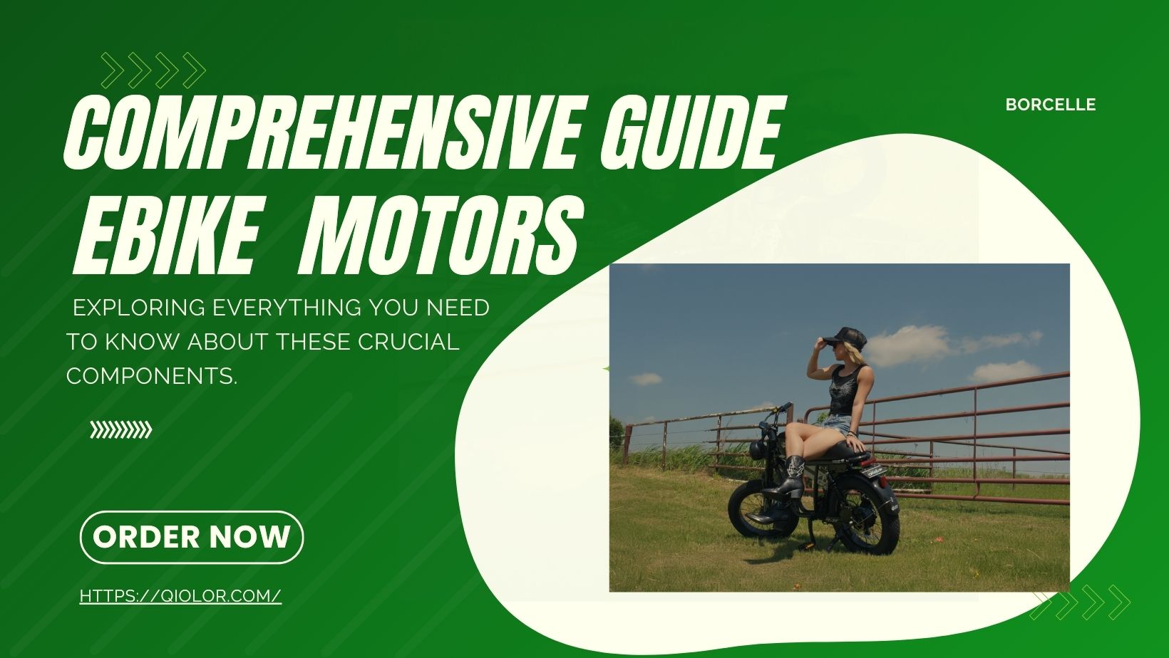 Comprehensive Guide to Ebike Motors