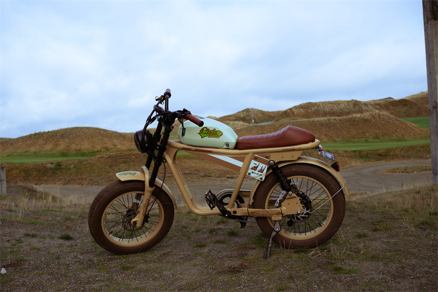 Is Qiolor a good electric bike brand? Qiolor Tiger Retro Ebike Review