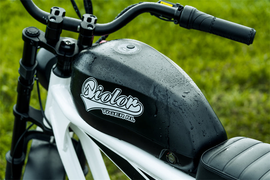 Are Electric Bikes Waterproof? A Simple Guide to IP Ratings & Rain Riding