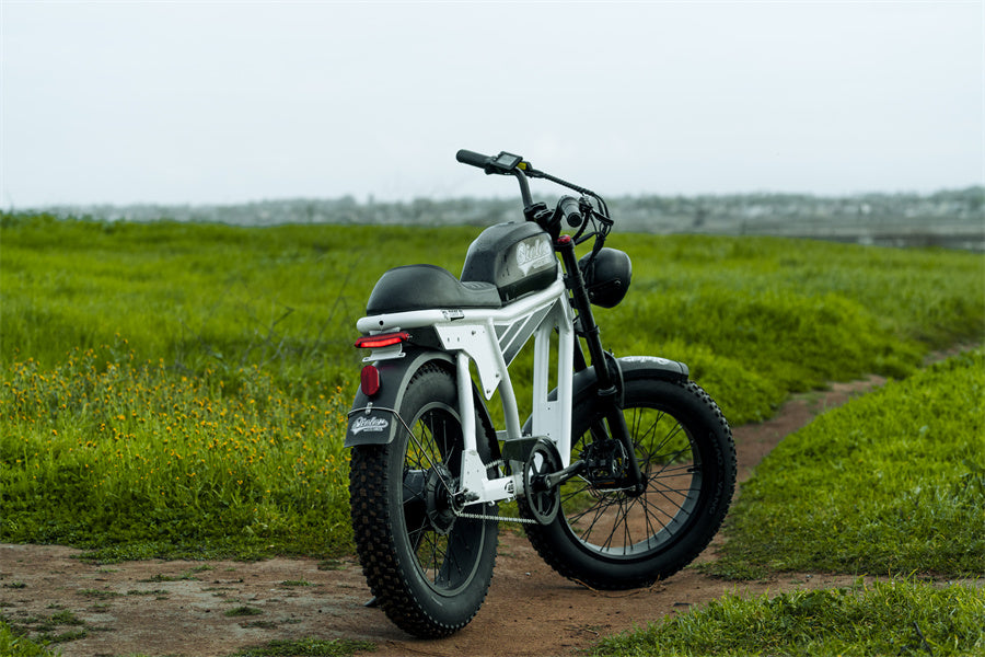 How to Fix an E-Bike Throttle That that Cause Motor Run Backward