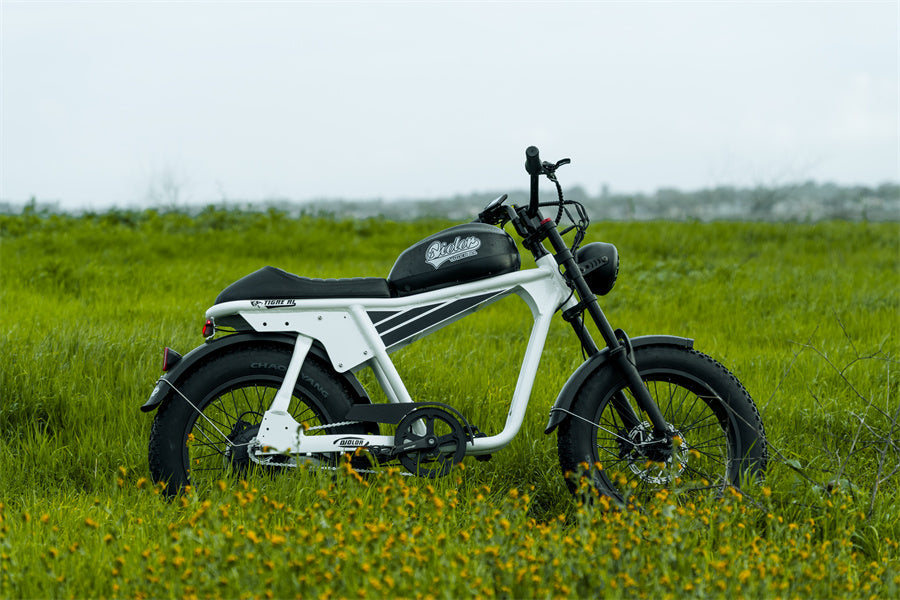 Diagnosing Bad Cells in High-Voltage E-Bike Packs