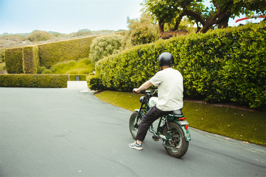 What Electric Bike Would You Choose for Food Delivery?
