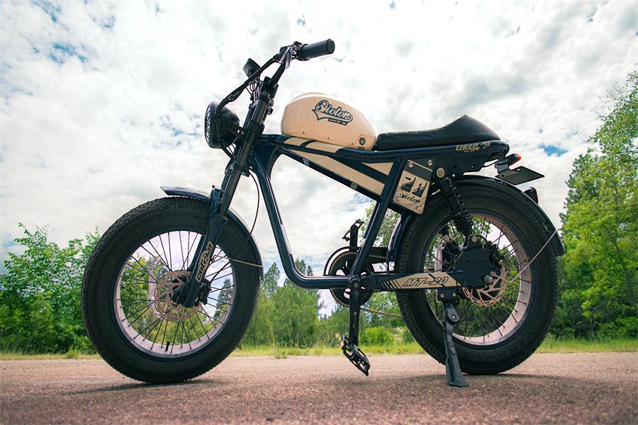 2025 Best 2 Person Electric Bike Guide