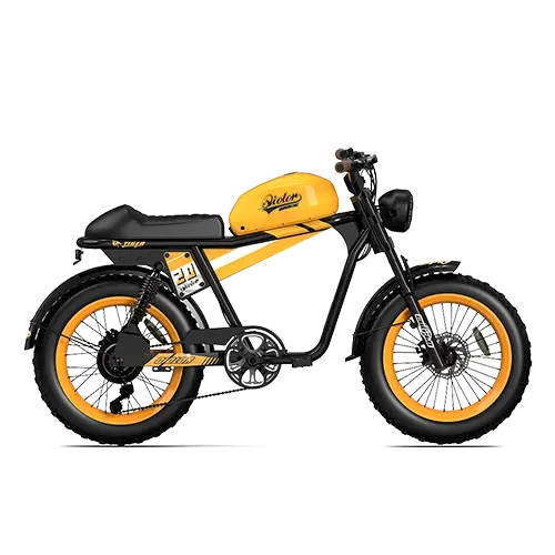 TIGER RE Retro Electric Bike