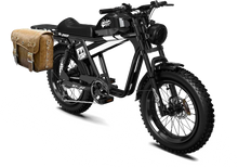 TIGER RE Retro Electric Bike
