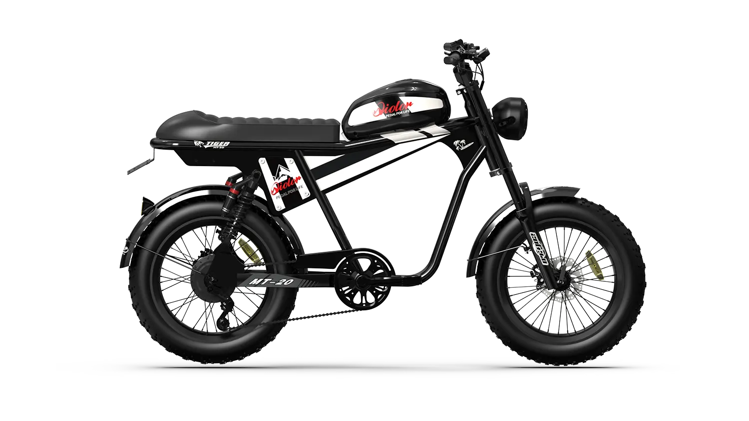 Fat Tire Electric Bike 750 Watt | Qiolor