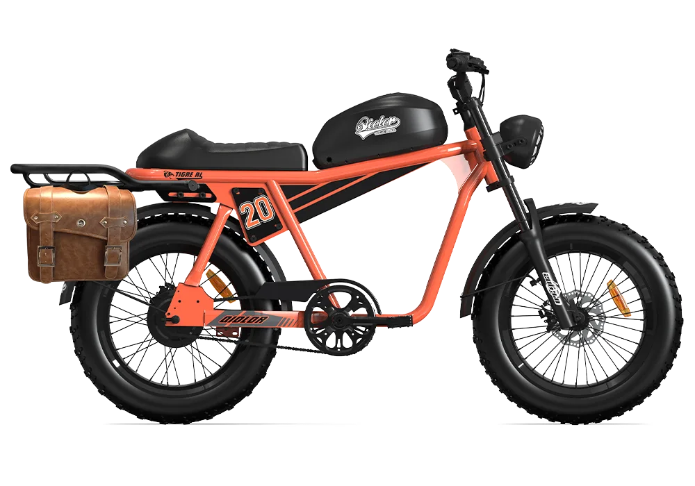 TIGER RL