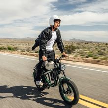 TIGER RE Retro Electric Bike