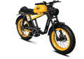 tiger yellow