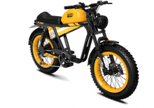 Yellow | Tiger RE front view