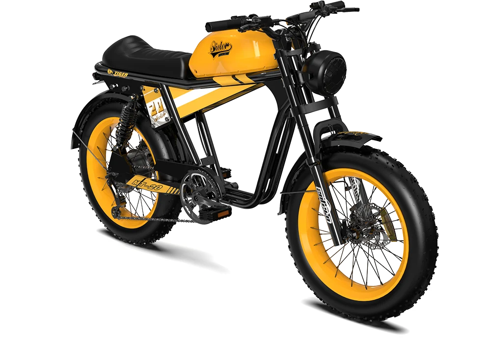 TIGER RE Retro Electric Bike