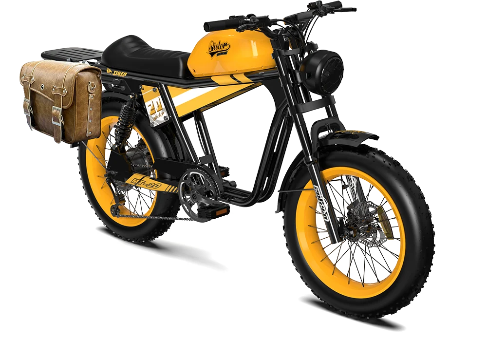 TIGER RE Retro Electric Bike
