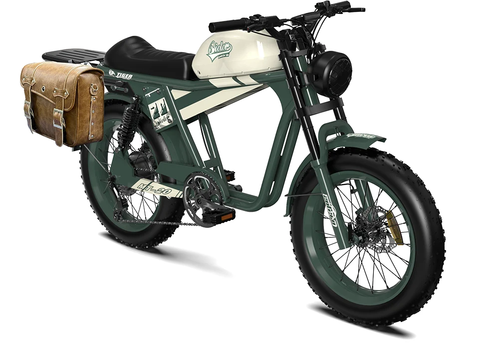 TIGER RE Retro Electric Bike