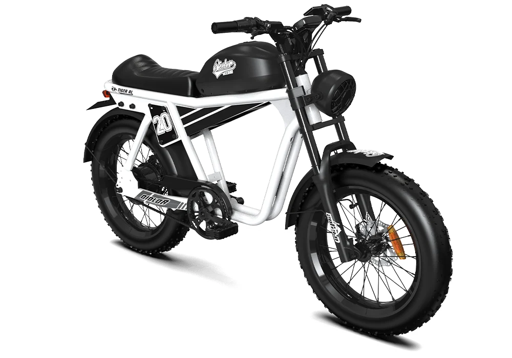 TIGER RL Electric Cruiser Bike
