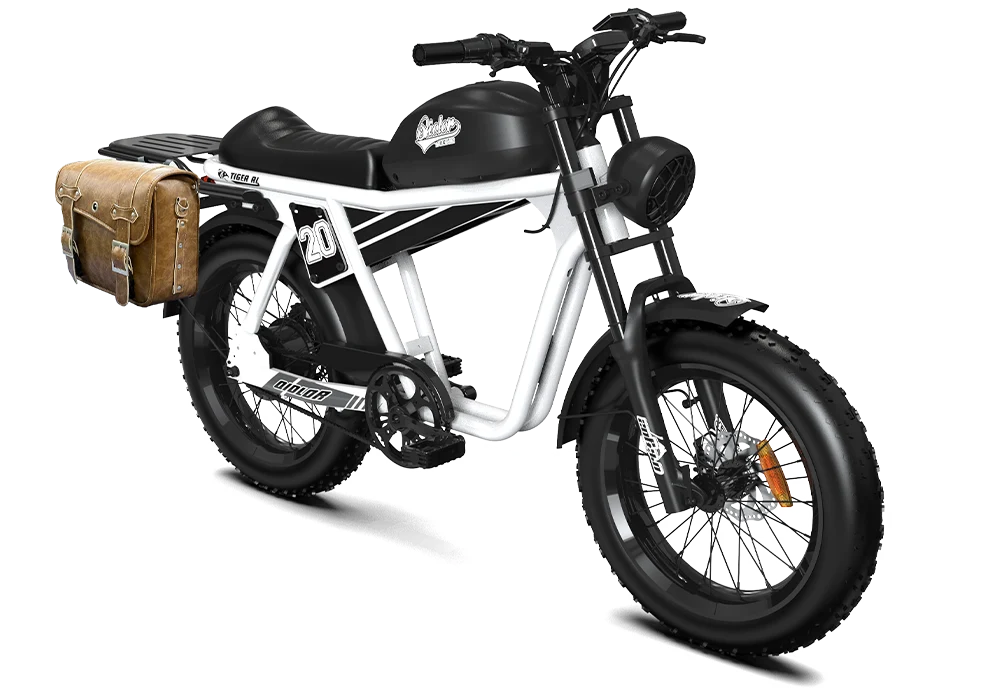 TIGER RL Electric Cruiser Bike